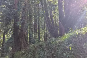 8055 Glen Haven Rd, Soquel, CA 95073 - Photo 1