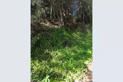 8055 Glen Haven Rd, Soquel, CA 95073 - Photo 5