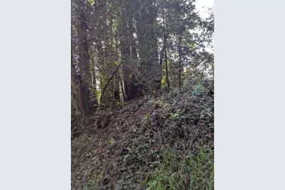 8055 Glen Haven Rd, Soquel, CA 95073 - Photo 3