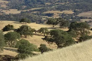 20041 Panoche Rd, Paicines, CA 95043 - Photo 1