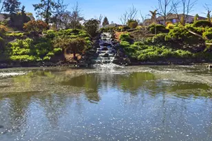 117 El Olivar, Los Gatos, CA 95032 - Photo 27