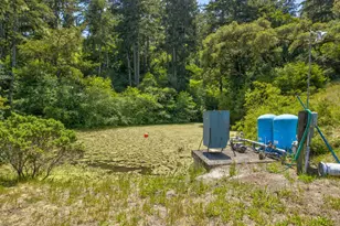 5090 La Honda Rd, San Gregorio, CA 94074 - Photo 35