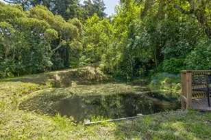 5090 La Honda Rd, San Gregorio, CA 94074 - Photo 27