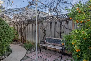 376 Cypress Ave, Santa Clara, CA 95050 - Photo 37