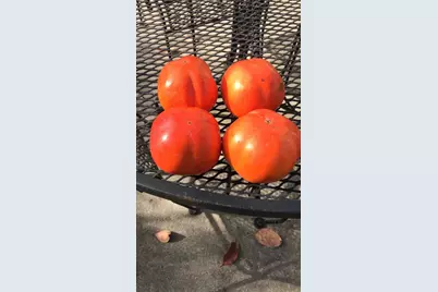 1723 Pheasant Dr, Hercules, CA 94547 - Photo 29