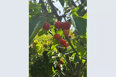 1723 Pheasant Dr, Hercules, CA 94547 - Photo 31