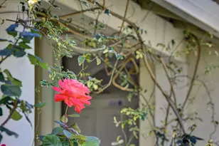 3279 Cuesta Dr, San Jose, CA 95148 - Photo 45