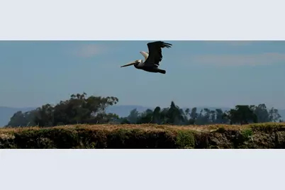 967 Salinas Rd, Royal Oaks, CA 95076 - Photo 21