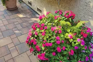 22014 Baxley Ct, Cupertino, CA 95014 - Photo 59