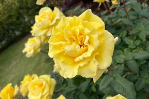 2560 Elliot Ct, Santa Clara, CA 95051 - Photo 69