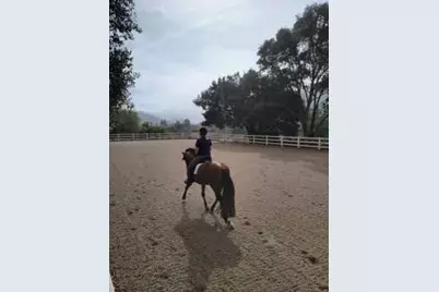 12170 Calle Uvas, Gilroy, CA 95020 - Photo 53