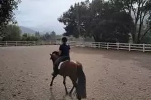 12170 Calle Uvas, Gilroy, CA 95020 - Photo 53