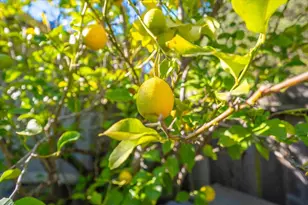 18117 Berta Canyon Rd, Salinas, CA 93907 - Photo 41