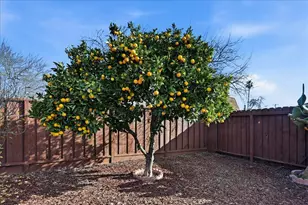 6328 Zulmida Ave, Newark, CA 94560 - Photo 45