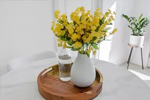 6328 Zulmida Ave, Newark, CA 94560 - Photo 17