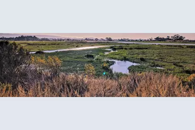 2505 Greer Rd, Palo Alto, CA 94303 - Photo 57