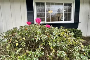 2317 Oakdale Rd, Hillsborough, CA 94010 - Photo 3