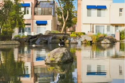 852 Lakeshore Dr, Redwood City, CA 94065 - Photo 27