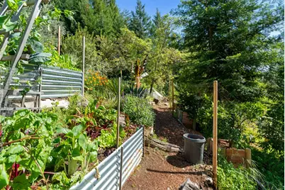24101 Mountain Charlie Road, Los Gatos, CA 95033 - Photo 47