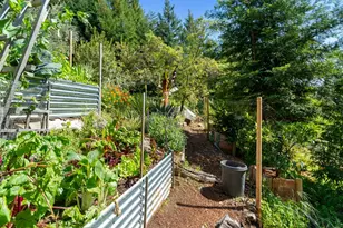 24101 Mountain Charlie Rd, Los Gatos, CA 95033 - Photo 47