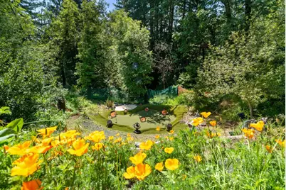 24101 Mountain Charlie Road, Los Gatos, CA 95033 - Photo 51