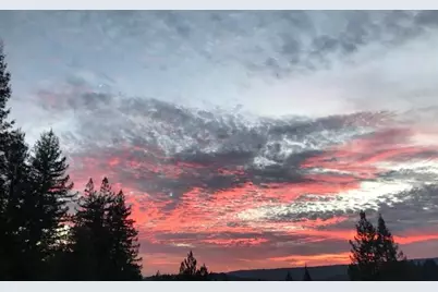 24101 Mountain Charlie Road, Los Gatos, CA 95033 - Photo 55