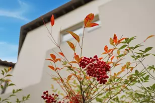 141 W 3rd Ave, San Mateo, CA 94402 - Photo 5