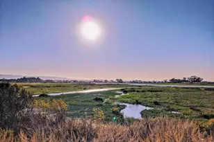 3773 Redwood Cir, Palo Alto, CA 94306 - Photo 75