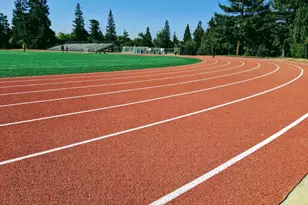 225 W Meadow Dr, Palo Alto, CA 94306 - Photo 71