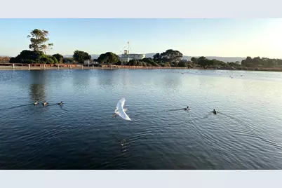 225 W Meadow Dr, Palo Alto, CA 94306 - Photo 63