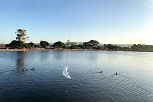 225 W Meadow Dr, Palo Alto, CA 94306 - Photo 63