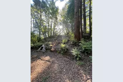 00 Love Creek, Ben Lomond, CA 95005 - Photo 17