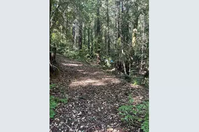 00 Love Creek, Ben Lomond, CA 95005 - Photo 9