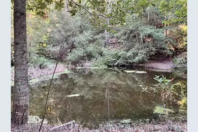 00 Love Creek, Ben Lomond, CA 95005 - Photo 1