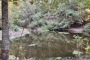 00 Love Creek, Ben Lomond, CA 95005 - Photo 1