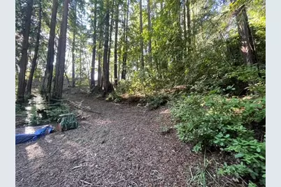 00 Love Creek, Ben Lomond, CA 95005 - Photo 7