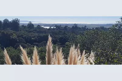 14643 Tumble Weed Ln, Royal Oaks, CA 95076 - Photo 39