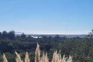 14643 Tumbleweed Ln, Royal Oaks, CA 95076 - Photo 39