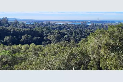 14643 Tumble Weed Ln, Royal Oaks, CA 95076 - Photo 13