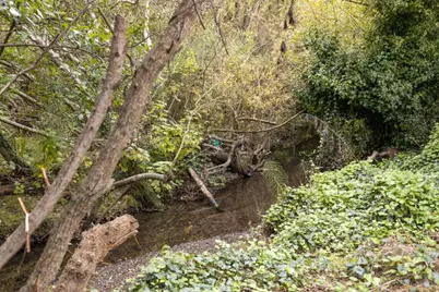 1416 Flores Dr, Pacifica, CA 94044 - Photo 29