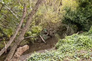 1416 Flores Dr, Pacifica, CA 94044 - Photo 29