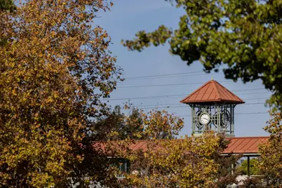 1720 Francis Ct, Belmont, CA 94002 - Photo 17