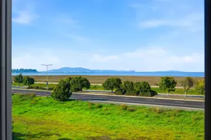 400 Mariners Island Blvd 209, San Mateo, CA 94404 - Photo 47