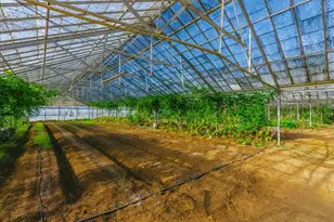 371 Calabasas Rd, Watsonville, CA 95076 - Photo 35