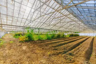 371 Calabasas Rd, Watsonville, CA 95076 - Photo 43