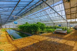 371 Calabasas Rd, Watsonville, CA 95076 - Photo 45