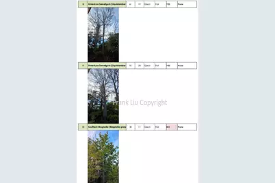 269 Selby Ln, Atherton, CA 94027 - Photo 51