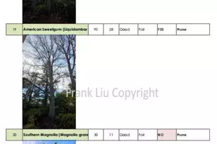 269 Selby Ln, Atherton, CA 94027 - Photo 51