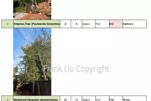 269 Selby Ln, Atherton, CA 94027 - Photo 47