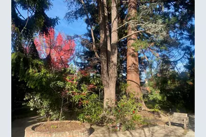 269 Selby Ln, Atherton, CA 94027 - Photo 23